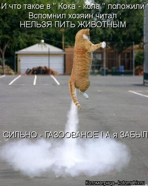 И что такое в " Кока - кола " положили ? Вспомнил хозяин читал : НЕЛЬЗЯ ПИТЬ ЖИВОТНЫМ СИЛЬНО - ГАЗ... Котоматрица: И что такое в " Кока - кола " положили ? Вспомнил хозяин читал : НЕЛЬЗЯ ПИТЬ ЖИВОТНЫМ СИЛЬНО - ГАЗООВАНОЕ ! А я ЗАБЫЛ .