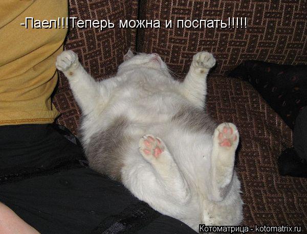 -Паел!!!Теперь можна и поспать!!!!! -Паел!!!Теперь можна и поспать!!!!!... Котоматрица: -Паел!!!Теперь можна и поспать!!!!! -Паел!!!Теперь можна и поспать!!!!!