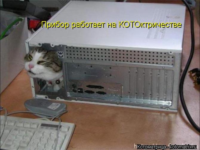 Прибор работает на КОТОктричестве... Котоматрица: Прибор работает на КОТОктричестве