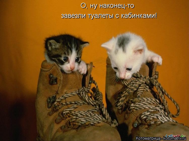 О, ну наконец-то завезли туалеты с кабинками!... Котоматрица: О, ну наконец-то завезли туалеты с кабинками!