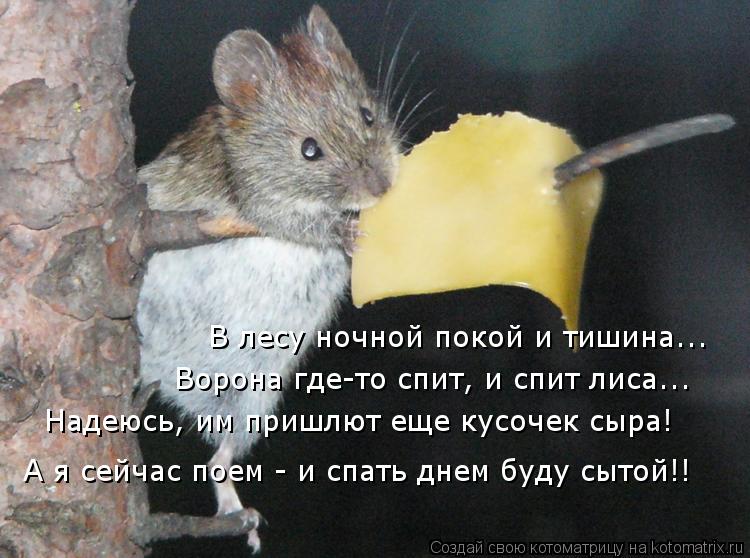 Котоматрица: В лесу ночной покой и тишина... Ворона где-то спит, и спит лиса... Надеюсь, им пришлют еще кусочек сыра! А я сейчас поем - и спать днем буду сытой!