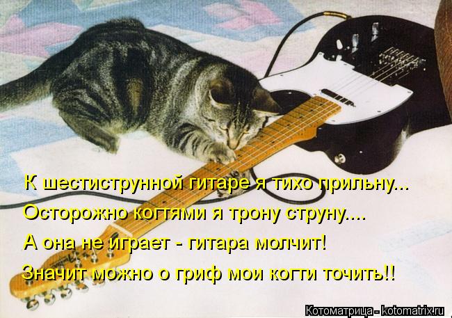 Котоматрица: К шестиструнной гитаре я тихо прильну... Осторожно когтями я трону струну.... А она не играет - гитара молчит! Значит можно о гриф мои когти точ