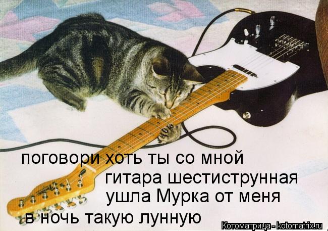Котоматрица: поговори хоть ты со мной гитара шестиструнная ушла Мурка от меня в ночь такую лунную