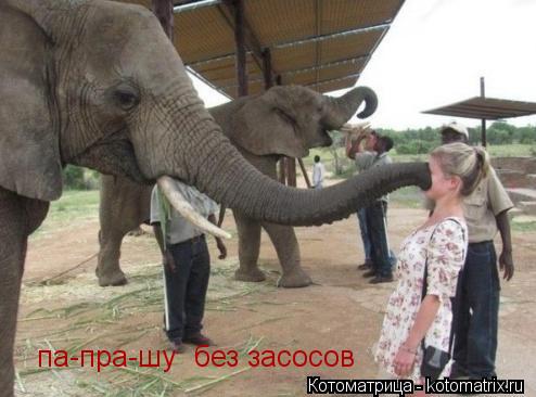 па-пра-шу без засосов... Котоматрица: па-пра-шу без засосов