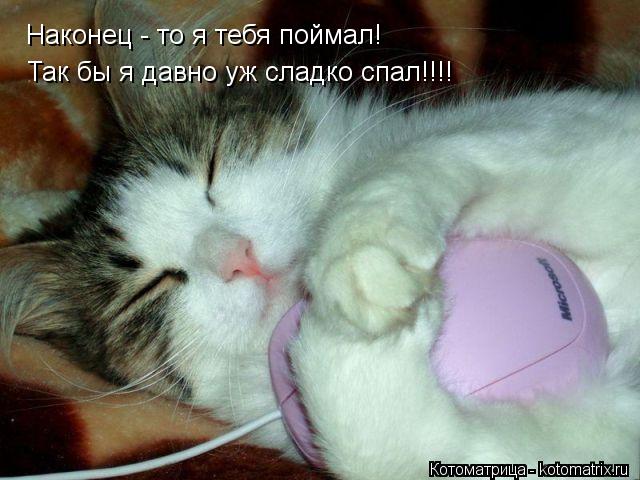 Наконец - то я тебя поймал! Так бы я давно уж сладко спал!!!!... Котоматрица: Наконец - то я тебя поймал! Так бы я давно уж сладко спал!!!!