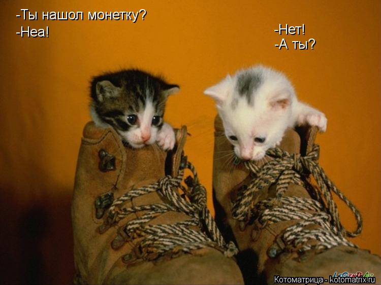 -Нет! -Ты нашол монетку? -А ты? -Неа! -Иши без неё мы не сможем купить"Вискис"... Котоматрица: -Нет! -Ты нашол монетку? -А ты? -Неа! -Иши без неё мы не сможем купить"Вискис"