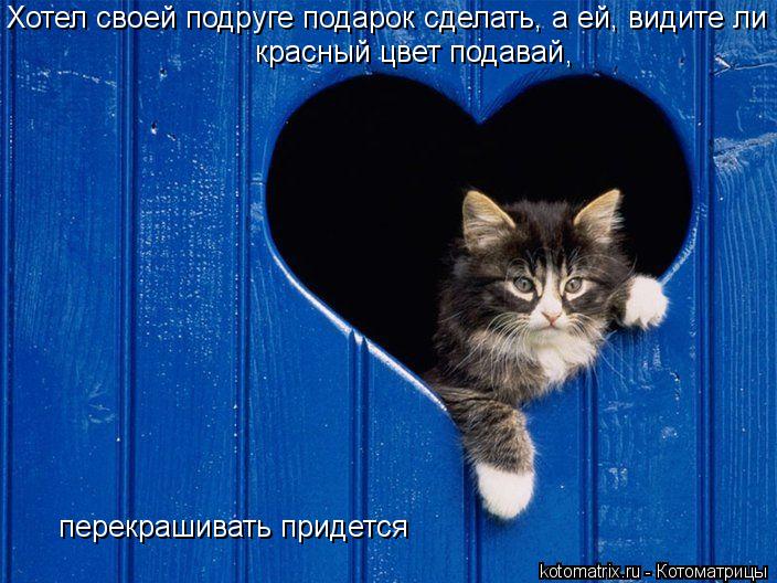 Хотел своей подруге подарок сделать, а ей, видите ли красный цвет подавай , перекрашивать придется... Котоматрица: Хотел своей подруге подарок сделать, а ей, видите ли красный цвет подавай , перекрашивать придется