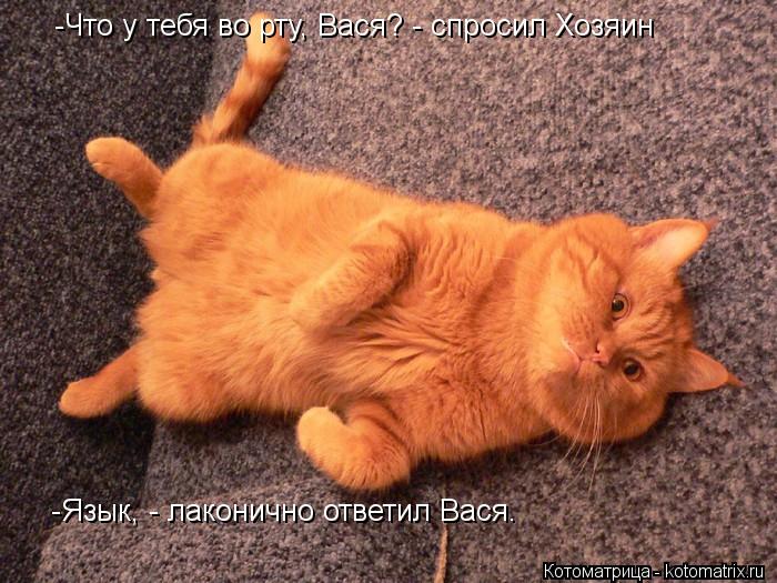 -Что у тебя во рту, Вася? - спросил Хозяин -Язык, - лаконично ответил Вася.... Котоматрица: -Что у тебя во рту, Вася? - спросил Хозяин -Язык, - лаконично ответил Вася.