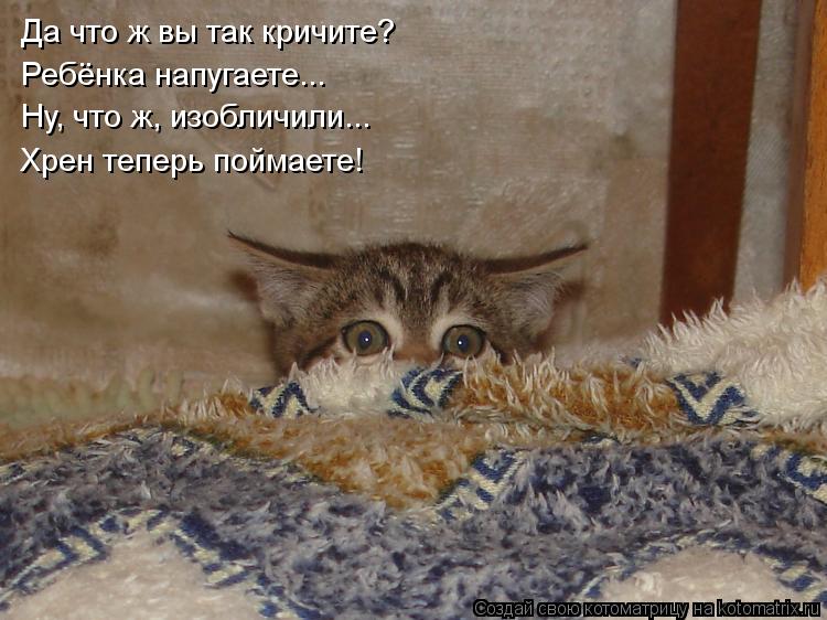 Да что ж вы так кричите? Ребёнка напугаете... Ну, что ж, изобличили... Хрен теперь поймаете!... Котоматрица: Да что ж вы так кричите? Ребёнка напугаете... Ну, что ж, изобличили... Хрен теперь поймаете!