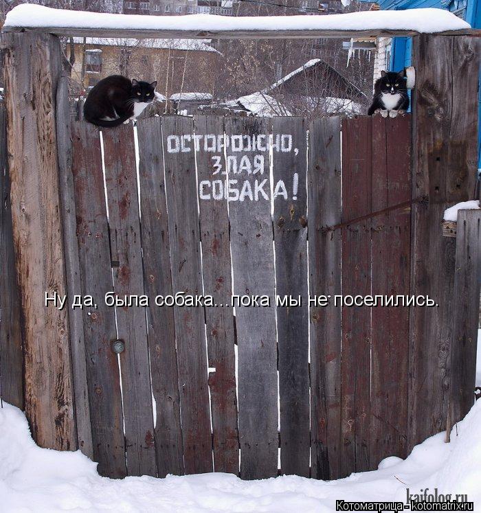 Ну да, была собака...пока мы не поселились.... Котоматрица: Ну да, была собака...пока мы не поселились.