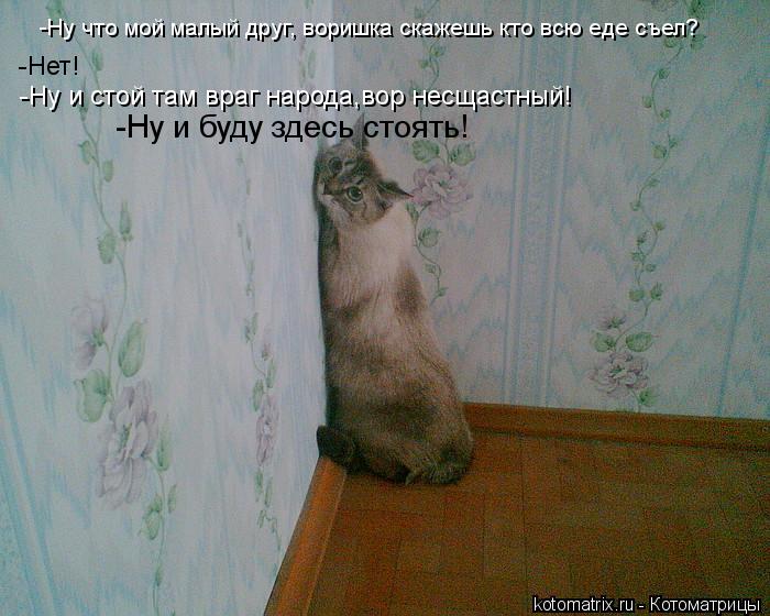 -Нет! -Ну и стой там враг народа,вор несщастный! -Ну и буду здесь стоять! -Ну что мой малый друг, вор... Котоматрица: -Нет! -Ну и стой там враг народа,вор несщастный! -Ну и буду здесь стоять! -Ну что мой малый друг, воришка скажешь кто всю еде съел?