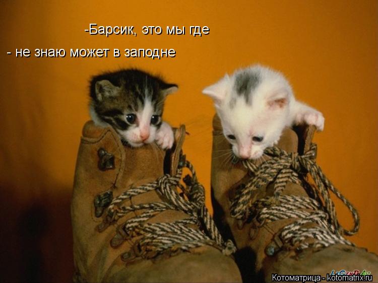 -Барсик, это мы где - не знаю может в заподне... Котоматрица: -Барсик, это мы где - не знаю может в заподне