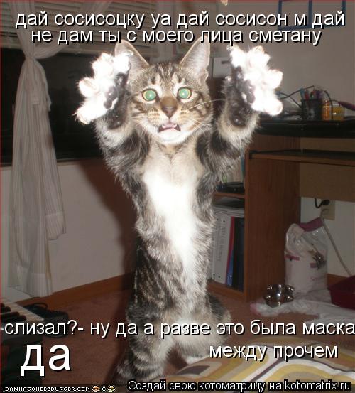дай сосисоцку уа дай сосисон м дай не дам ты с моего лица сметану слизал?- ну да а разве это была мас... Котоматрица: дай сосисоцку уа дай сосисон м дай не дам ты с моего лица сметану слизал?- ну да а разве это была маска? между прочем да