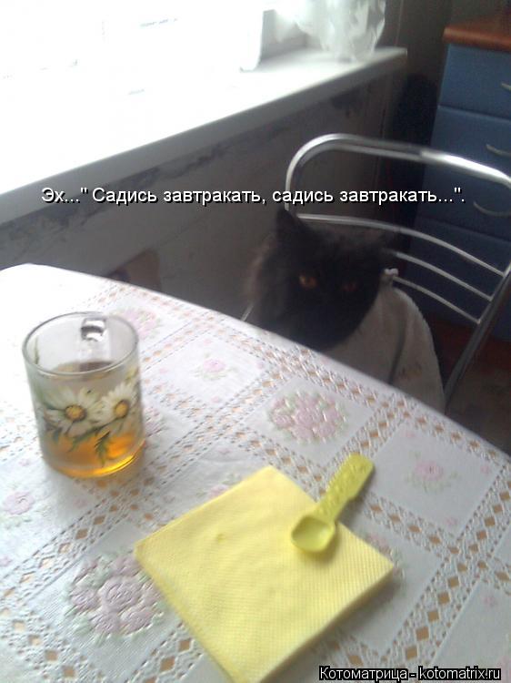 " Садись завтракать, садись завтракать..." Опять обманула...Где тарелка? Где еда? Сама пей этот чай и... Котоматрица: " Садись завтракать, садись завтракать..." Опять обманула...Где тарелка? Где еда? Сама пей этот чай и заедай салфетками! Эх..." Садись завтракать