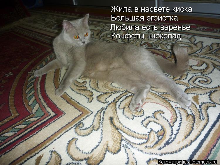 Жила в насвете киска Большая эгоистка. Любила есть варенье Конфеты, шоколад.... Котоматрица: Жила в насвете киска Большая эгоистка. Любила есть варенье Конфеты, шоколад.