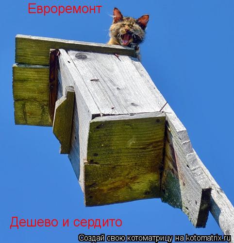 Евроремонт Дешево и сердито... Котоматрица: Евроремонт Дешево и сердито