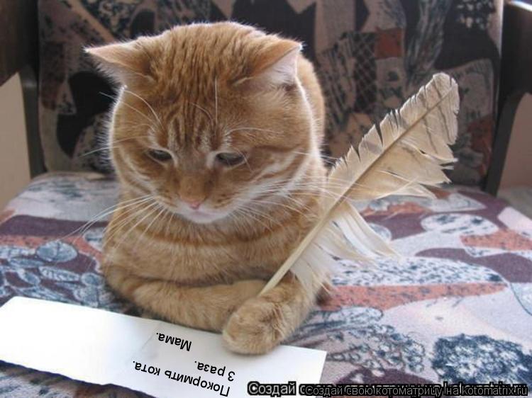 Покормить кота. 3 раза. Мама.... Котоматрица: Покормить кота. 3 раза. Мама.