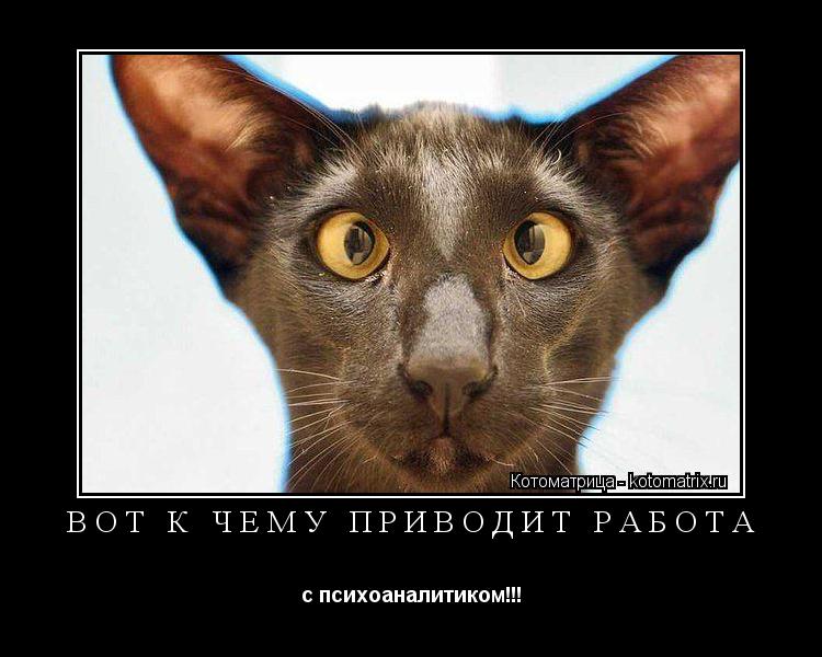 ВОТ К ЧЕМУ ПРИВОДИТ РАБОТА с психоаналитиком!!!... Котоматрица: ВОТ К ЧЕМУ ПРИВОДИТ РАБОТА с психоаналитиком!!!