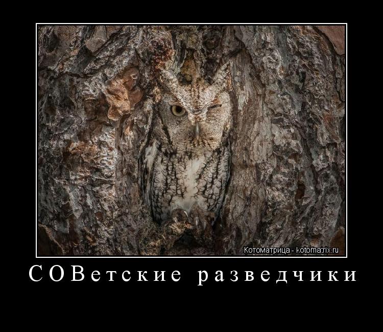 СОВетские разведчики ... Котоматрица: СОВетские разведчики