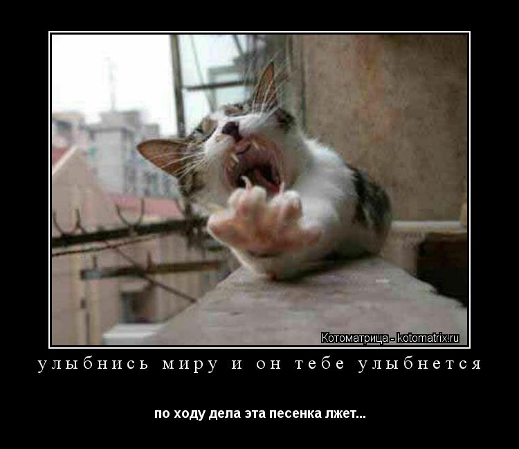 улыбнись миру и он тебе улыбнется по ходу дела эта песенка лжет...... Котоматрица: улыбнись миру и он тебе улыбнется по ходу дела эта песенка лжет...