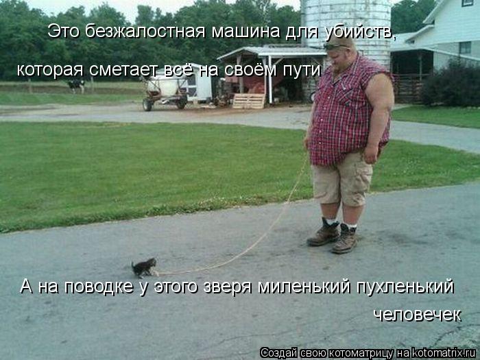 Это безжалостная машина для убийств, которая сметает всё на своём пути А на поводке у этого зверя ми... Котоматрица: Это безжалостная машина для убийств, которая сметает всё на своём пути А на поводке у этого зверя миленький пухленький человечек