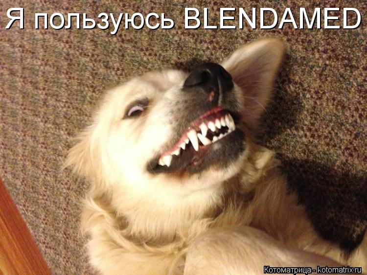 Я пользуюсь BLENDAMED... Котоматрица: Я пользуюсь BLENDAMED