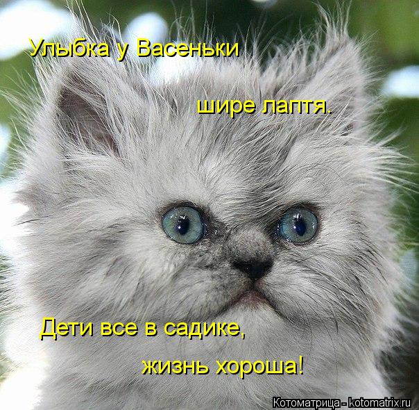 Улыбка у Васеньки шире лаптя. Дети все в садике, жизнь хороша!... Котоматрица: Улыбка у Васеньки шире лаптя. Дети все в садике, жизнь хороша!