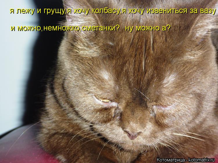 я лежу и грущу,я хочу колбасу,я хочу извениться за вазу и можно,немножко,сметанки? ну можно а?... Котоматрица: я лежу и грущу,я хочу колбасу,я хочу извениться за вазу и можно,немножко,сметанки? ну можно а?