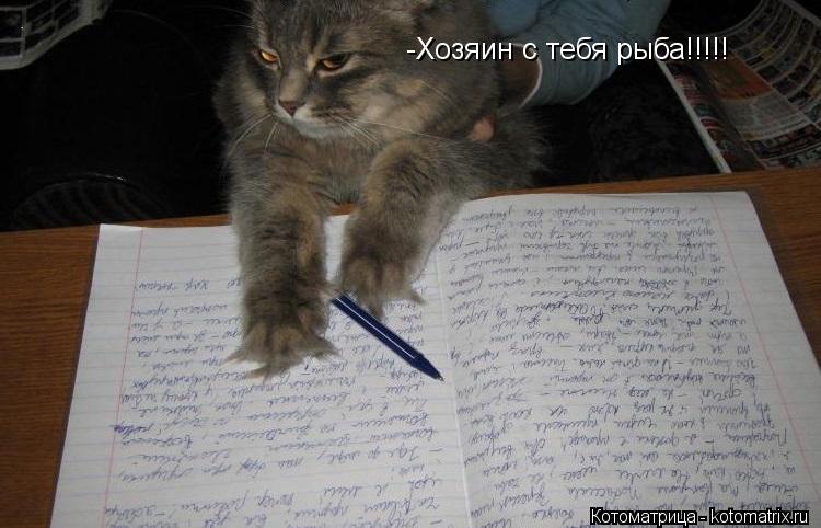 -Хозяин с тебя рыба!!!!!... Котоматрица: -Хозяин с тебя рыба!!!!!
