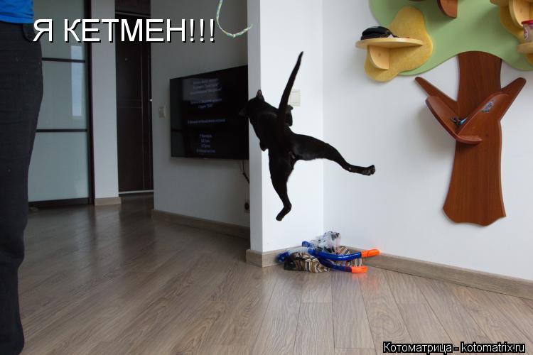 Я КЕТМЕН!!!... Котоматрица: Я КЕТМЕН!!!