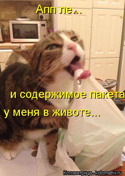 Апп ле... и содержимое пакета у меня в животе...... Котоматрица: Апп ле... и содержимое пакета у меня в животе...