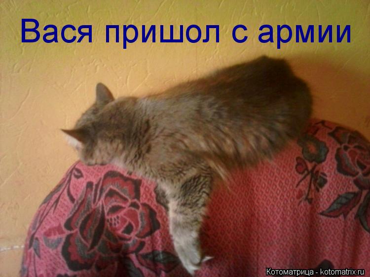 Вася пришол с армии... Котоматрица: Вася пришол с армии