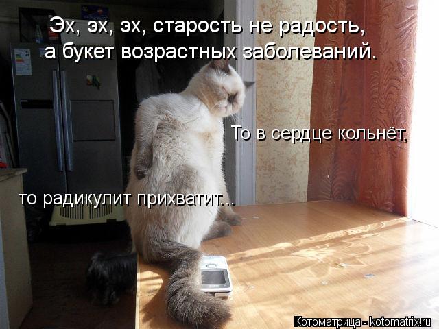 Эх, эх, эх, старость не радость, а букет возрастных заболеваний. То в сердце кольнёт, то радикул... Котоматрица: Эх, эх, эх, старость не радость, а букет возрастных заболеваний. То в сердце кольнёт, то радикулит прихватит...