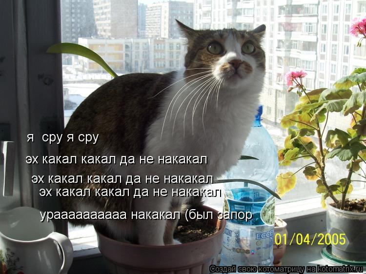 я сру я сру эх какал какал да не накакал эх какал какал да не накакал эх какал какал да не накакал... Котоматрица: я сру я сру эх какал какал да не накакал эх какал какал да не накакал эх какал какал да не накакал ураааааааааа накакал (был запор