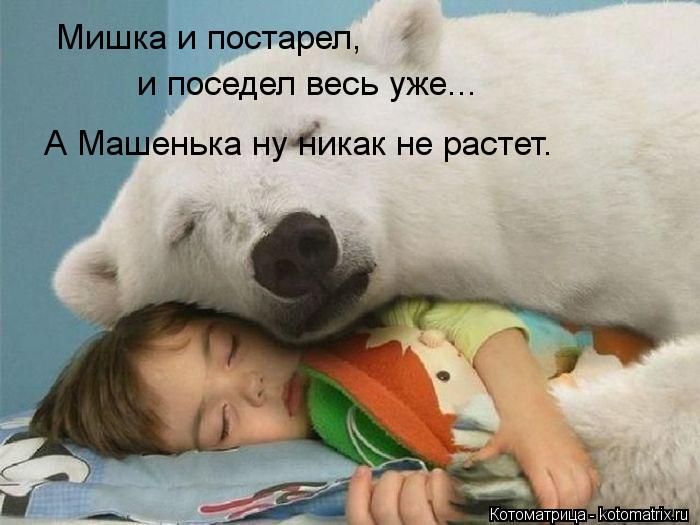 Мишка и постарел, и поседел весь уже... А Машенька ну никак не растет.... Котоматрица: Мишка и постарел, и поседел весь уже... А Машенька ну никак не растет.