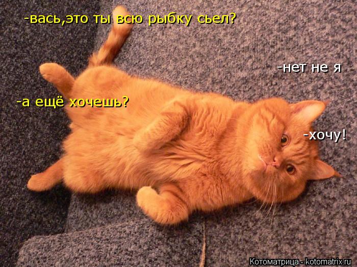 -вась,это ты всю рыбку сьел? -нет не я -а ещё хочешь? -хочу!... Котоматрица: -вась,это ты всю рыбку сьел? -нет не я -а ещё хочешь? -хочу!