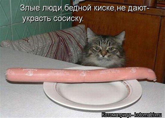 Злые люди,бедной киске,не дают- украсть сосиску.... Котоматрица: Злые люди,бедной киске,не дают- украсть сосиску.