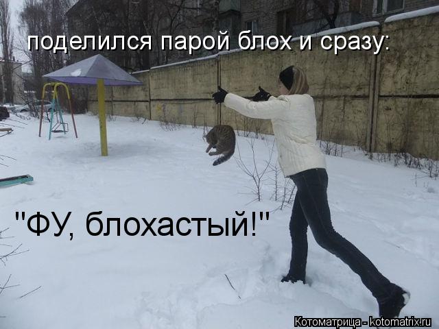 поделился парой блох и сразу: "ФУ, блохастый!"... Котоматрица: поделился парой блох и сразу: "ФУ, блохастый!"
