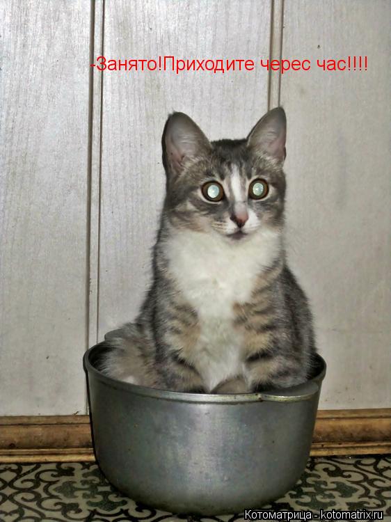 -Занято!Приходите черес час!!!!... Котоматрица: -Занято!Приходите черес час!!!!