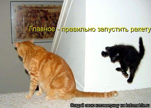 Главное - правильно запустить ракету... Котоматрица: Главное - правильно запустить ракету