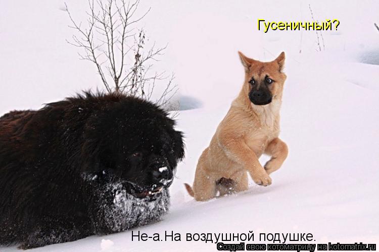 Гусеничный? Не-а.На воздушной подушке.... Котоматрица: Гусеничный? Не-а.На воздушной подушке.