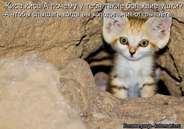 -Киса,киса!А почему у тебя такие большие ушки? -А чтобы слышать,когда вы холодильник открываете!... Котоматрица: -Киса,киса!А почему у тебя такие большие ушки? -А чтобы слышать,когда вы холодильник открываете!