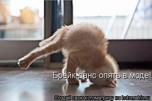 Брейк-данс опять в моде!... Котоматрица: Брейк-данс опять в моде!