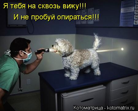 Я тебя на сквозь вижу!!! И не пробуй опираться!!!... Котоматрица: Я тебя на сквозь вижу!!! И не пробуй опираться!!!