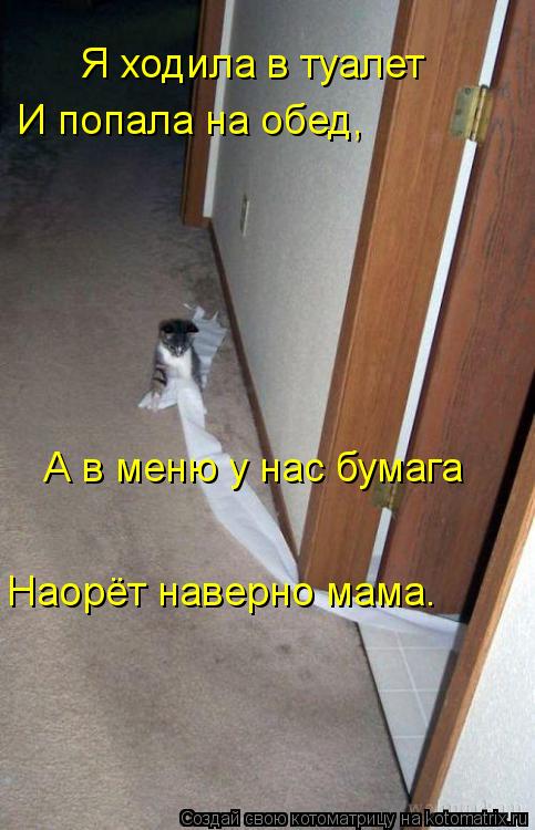 Я ходила в туалет И попала на обед, А в меню у нас бумага Наорёт наверно мама.... Котоматрица: Я ходила в туалет И попала на обед, А в меню у нас бумага Наорёт наверно мама.