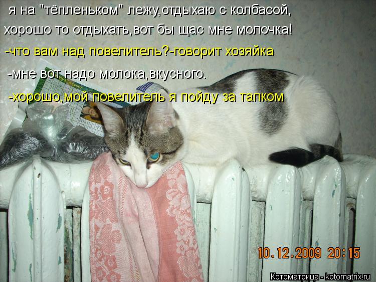 Котоматрица: я на "тёпленьком" лежу,отдыхаю с колбасой, хорошо то отдыхать,вот бы щас мне молочка! -что вам над повелитель?-говорит хозяйка -мне вот надо мо