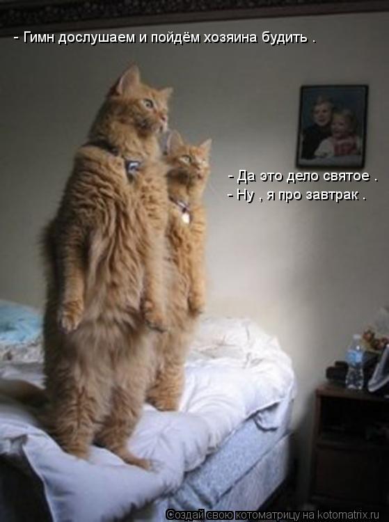 Котоматрица: - Гимн дослушаем и пойдём хозяина будить . - Да это дело святое . - Ну , я про завтрак .