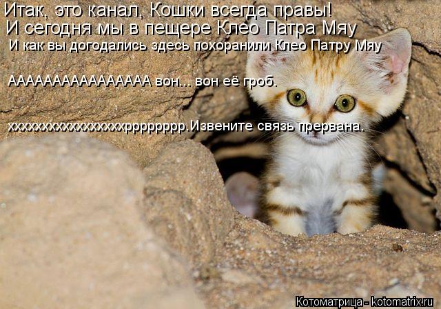 Итак, это канал, Кошки всегда правы! И сегодня мы в пещере Клео Патра Мяу И как вы догодались здесь п... Котоматрица: Итак, это канал, Кошки всегда правы! И сегодня мы в пещере Клео Патра Мяу И как вы догодались здесь похоранили Клео Патру Мяу АААААААААААААА