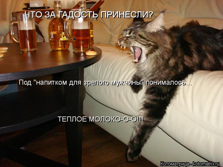 Котоматрица: Под "напитком для зрелого мужчины" понималось... ЧТО ЗА ГАДОСТЬ ПРИНЕСЛИ? ТЕПЛОЕ МОЛОКО-О-О!!!