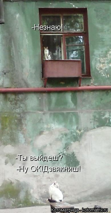 -Ты выйдеш? -Незнаю! -Ну ОК!Дзвякниш!... Котоматрица: -Ты выйдеш? -Незнаю! -Ну ОК!Дзвякниш!
